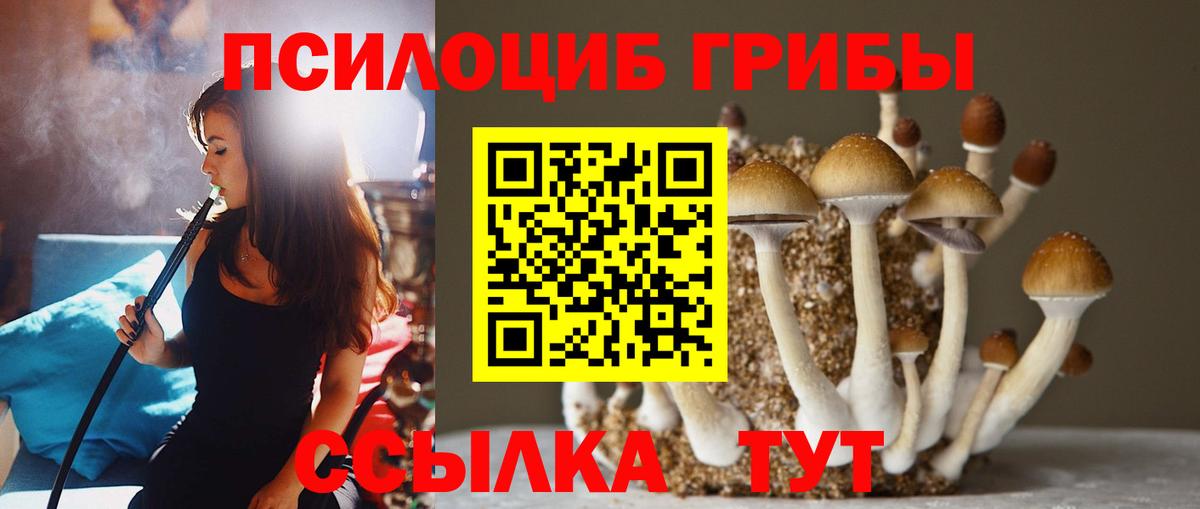 Псилоцибиновые грибы прущие грибы Кулебаки